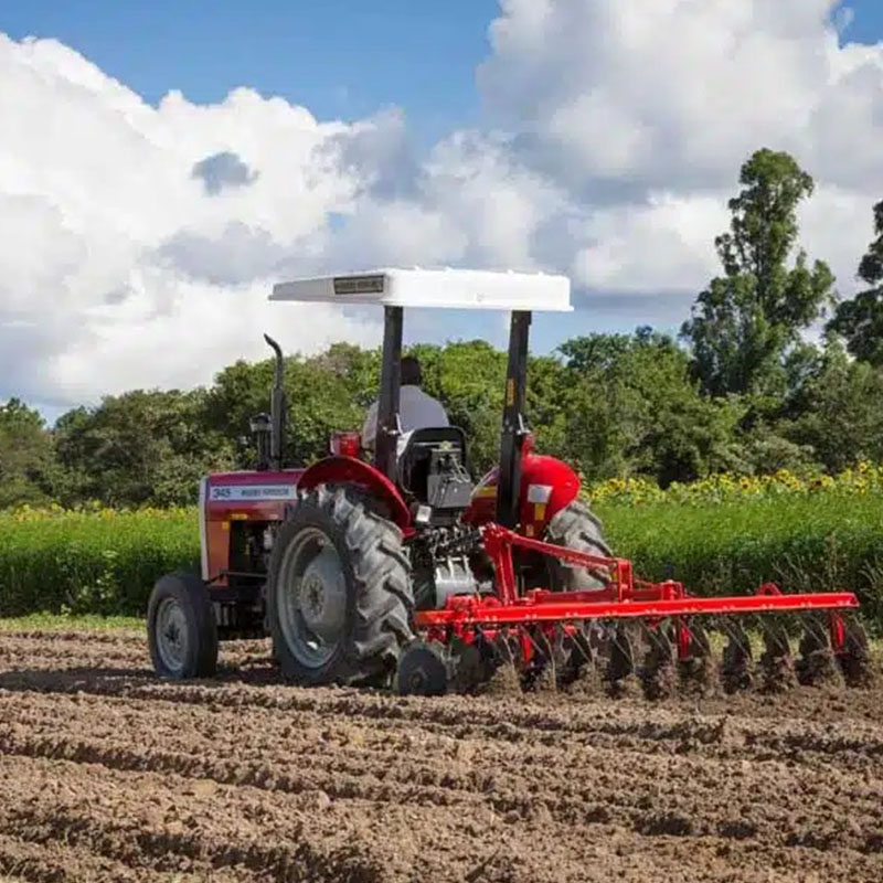 Modernizing Cassava Farming in Ogun State