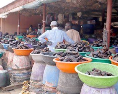 KADO FISH MARKET