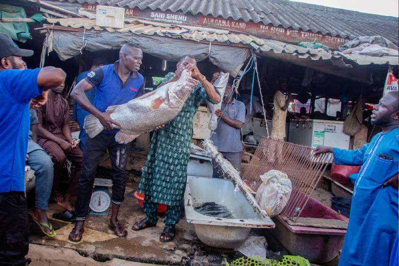 Kado Fish Market 